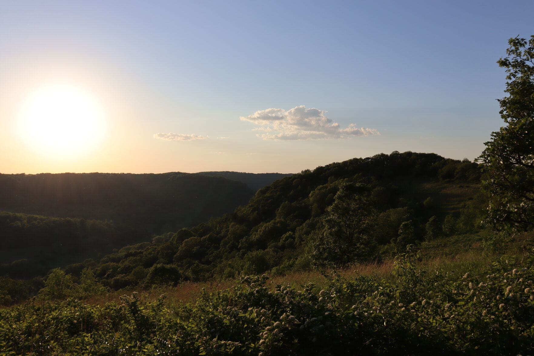 Great River Bluffs State Park